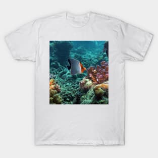 Angelfish T-Shirt